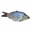 Rohu Fish